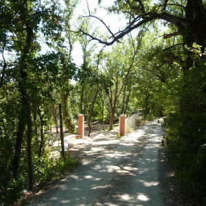 chemin accès villa